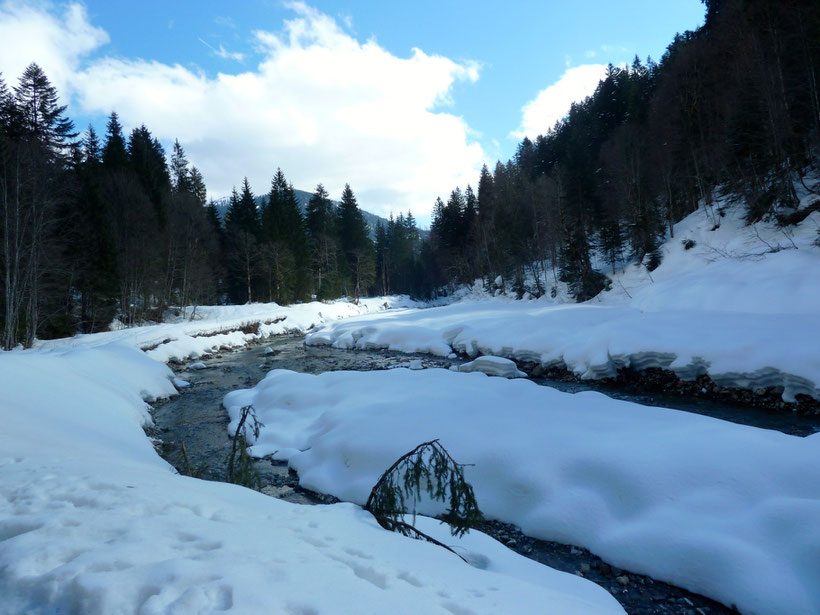 Vom Schwabenhof zur Schelpen Alpe