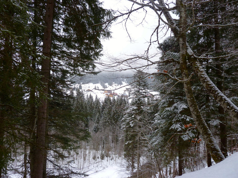 Auf dem Pilgerweg