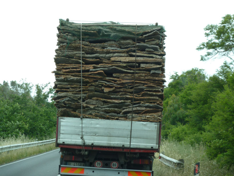 Korkproduktion als Wirtschaftsgut