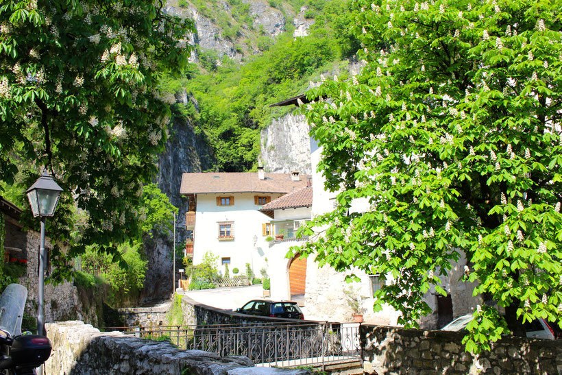 In Margreid, Südtirol Unterland