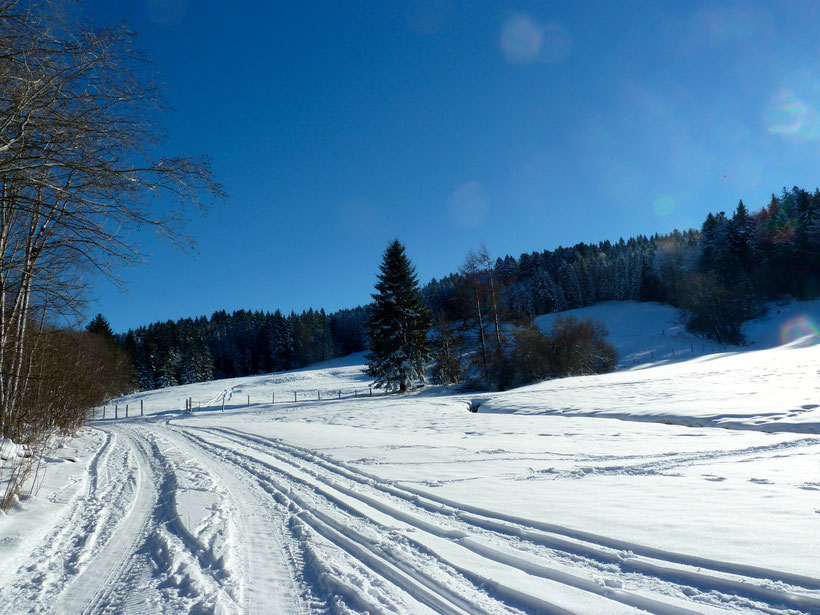 Langlaufloipe am Thalerlift, Wiederholen