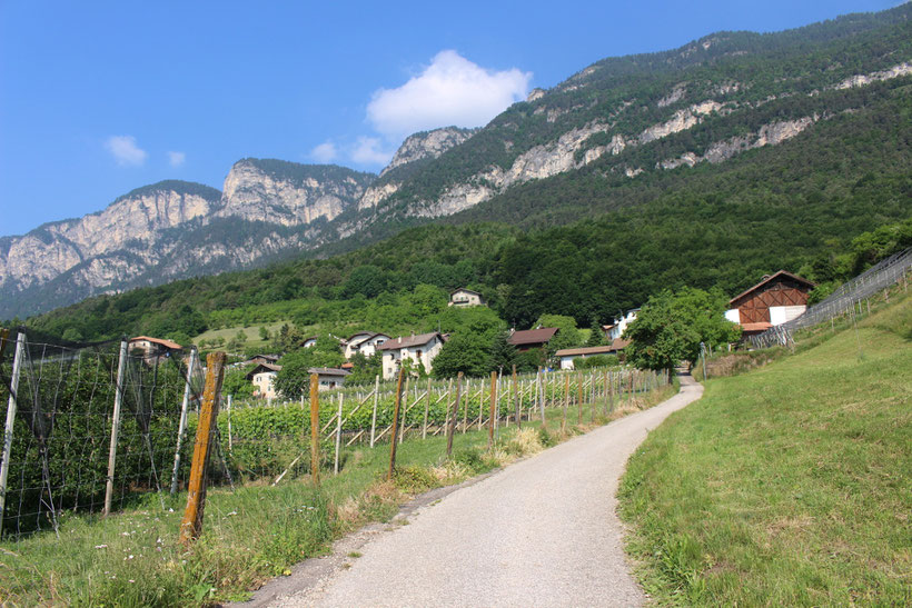 Zum Lochweg in Graun