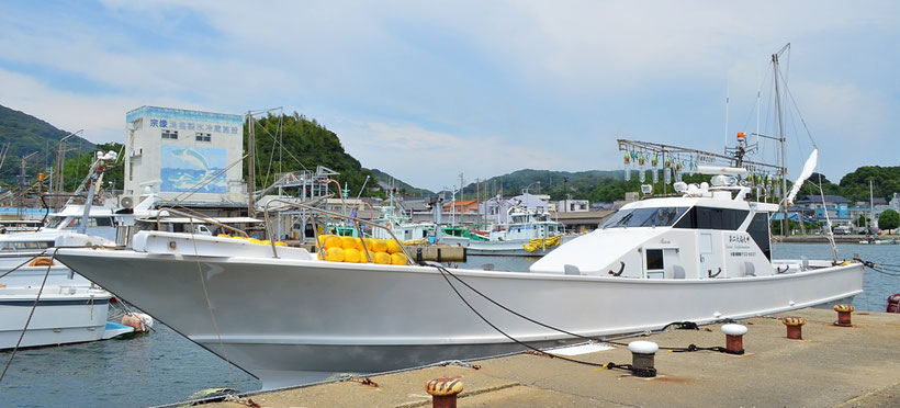 玄界灘の旬の船釣りならお任せ 福岡県宗像市 神湊漁港 第二大福丸 玄界灘の旬の船釣りならお任せ 福岡県宗像市 神湊漁港 第二大福丸