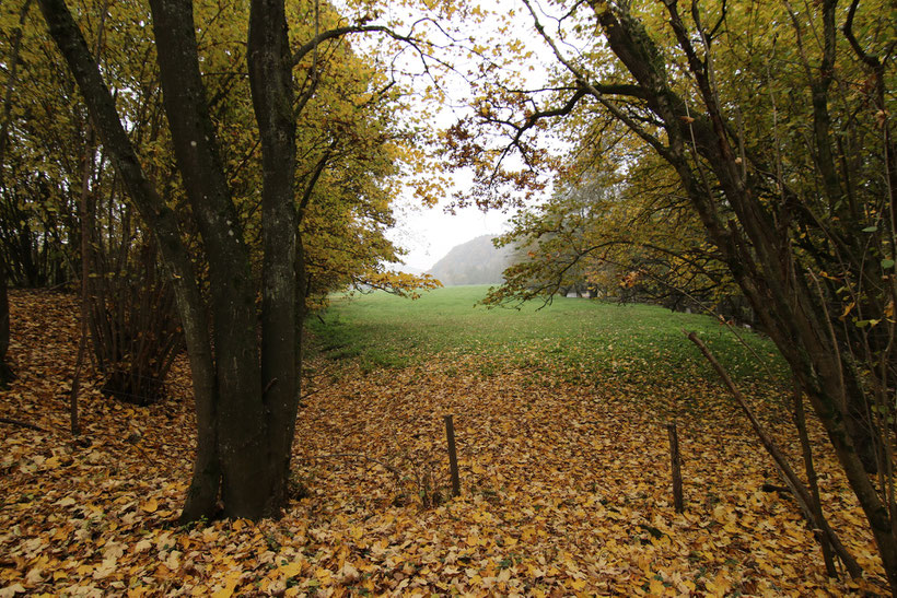 Dagstuhl