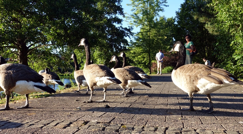 Kurpark Weiskirchen