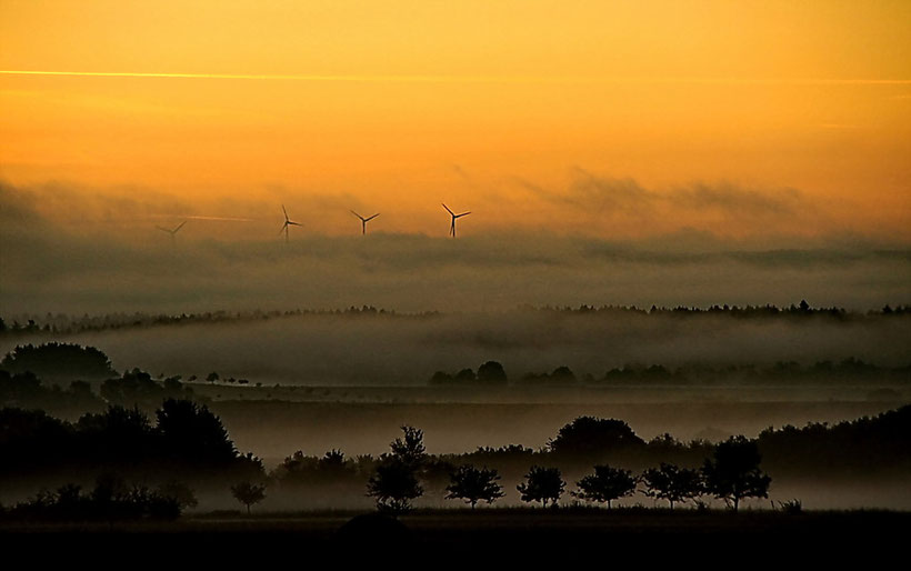 Eines Morgens im September 2011 auf dem Weg zur Arbeit.