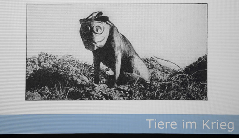 Tiere im Krieg