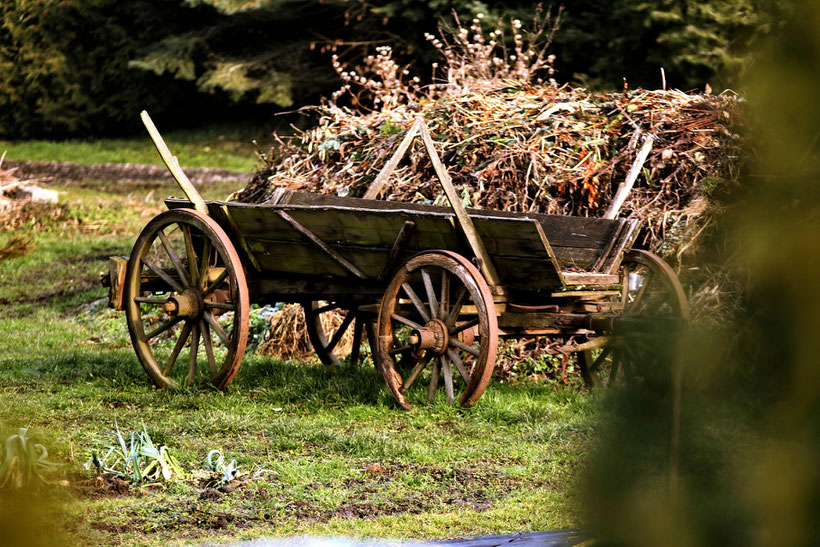 Antiker Heuwagen in Ortenberg (2015)