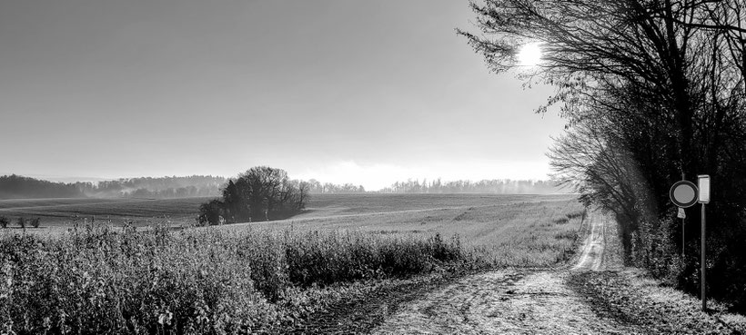 Fotografieren mit dem Smartphone. Fotos (c) Dieter Müller, Bruchsal