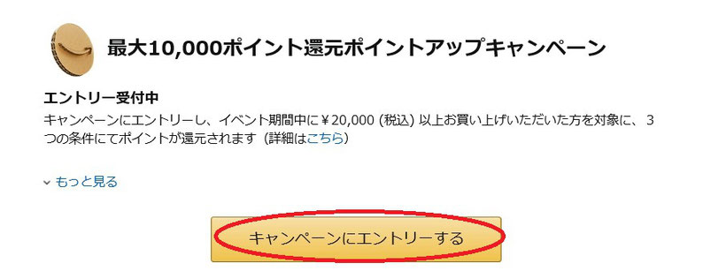 Amazonビッグセールでポイントアップのやり方！