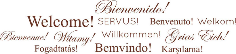 welcome! Bienvenido! Servus! Benvenuto! Welkom! Bienvenue! Witamy! Willkommen! Grias Eich! Fogadtatas! Bemvindo! Karsilama!