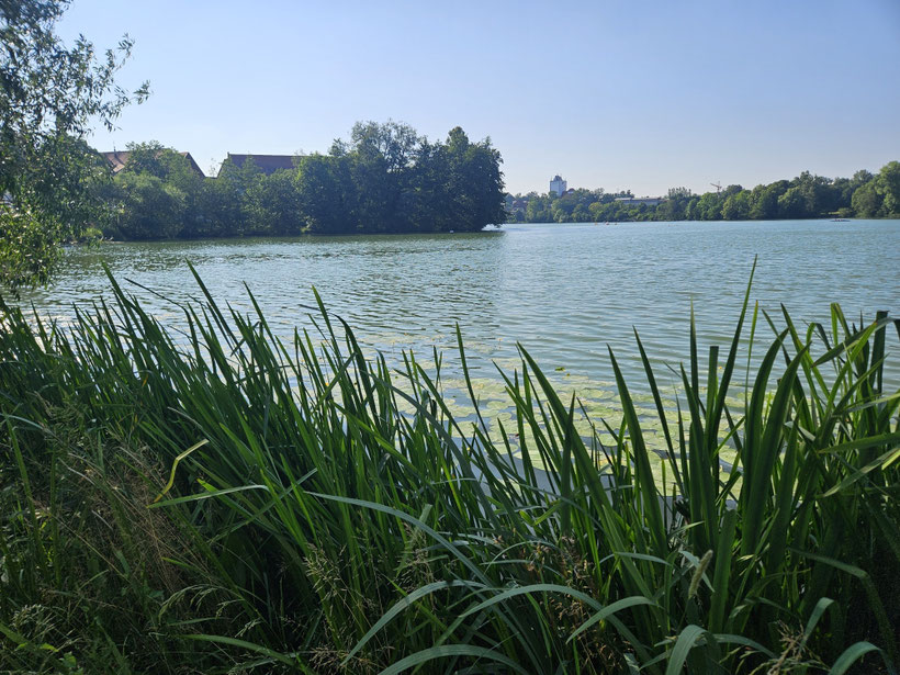 Bad Waldsee, Stadtsee.