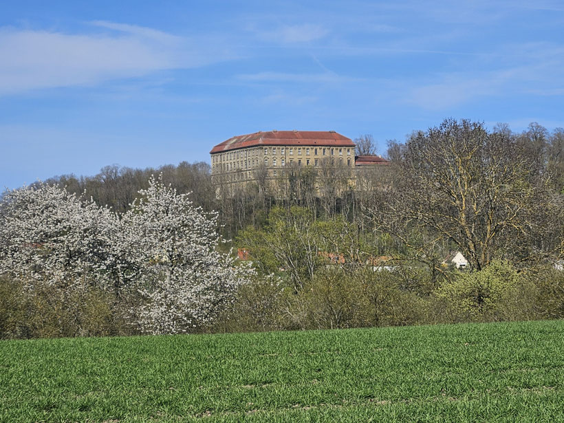 Zoom auf Schloss Schillingsfürst.