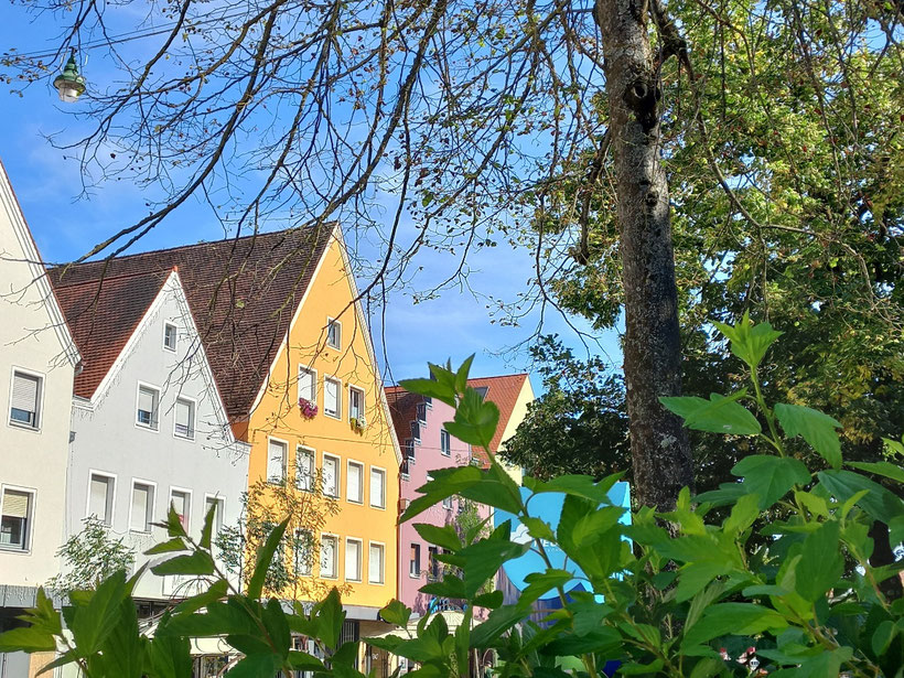 Haeuser_in_der_Altstadt