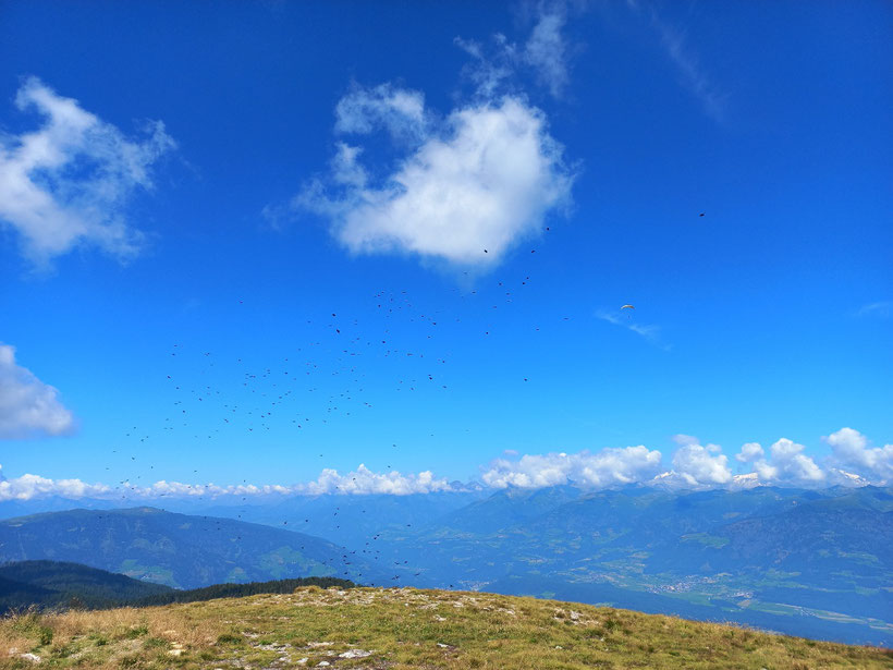 Aussicht_vom_Kronplatz_ins_Tal