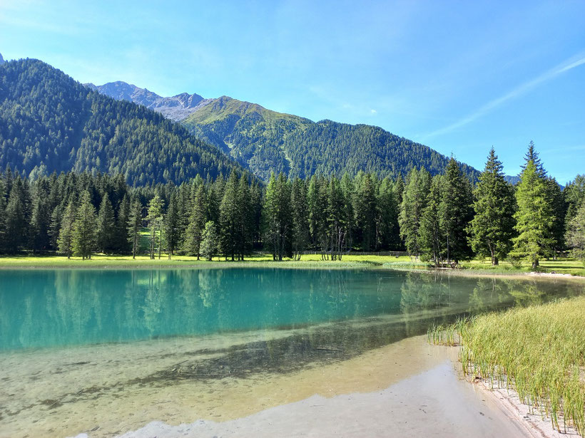 Antholzer See in Südtirol mit Bäumen und Bergen im Hintergrund