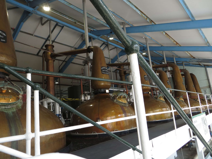 Stills bei Laphroaig