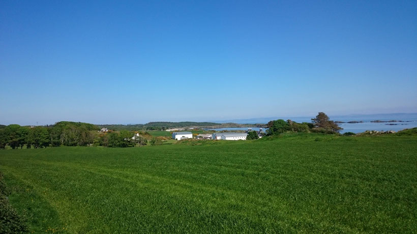 Gorgeous weather on Islay