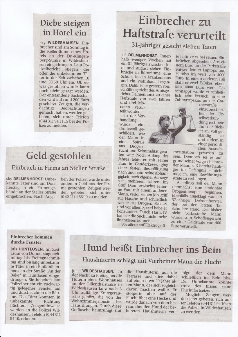einbruch_wildeshausen_delmenhorst_zeitung_mm_alarmanlagen_einbruchschutz