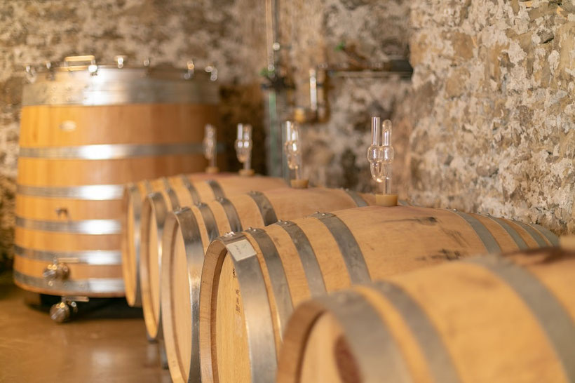 Fly and Wine, Helikopterflug mit Weindegustation,Weingut Bachmann, Stäfa,  Klassfikationen Weinkeller