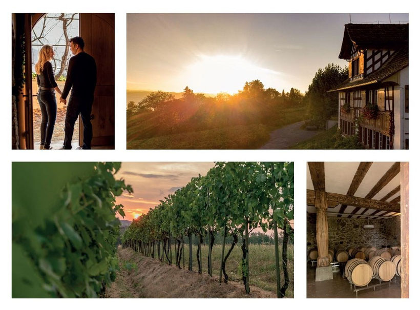  Fly and Wine, Helikopterflug mit Weindegustation, Weingut Bachmann Stäfa