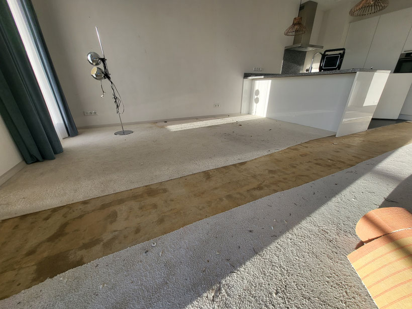 Ruttenberg Ontruimingen verwijdert gelijmde vloerbedekking voor bezemschone oplevering