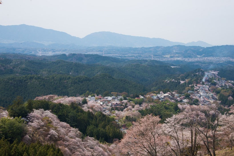 　　　　　　　　　　　　　　　　　　　　　　　奈良　吉野山
