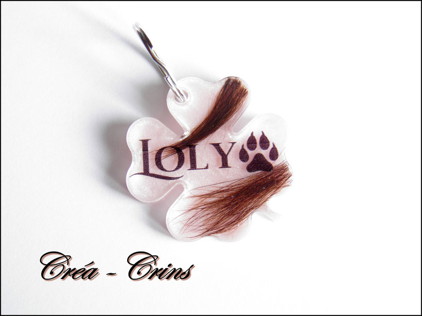 accessoire résine poils chien chat 