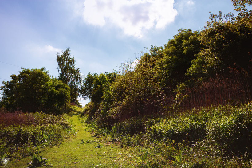 Herzform in der Natur