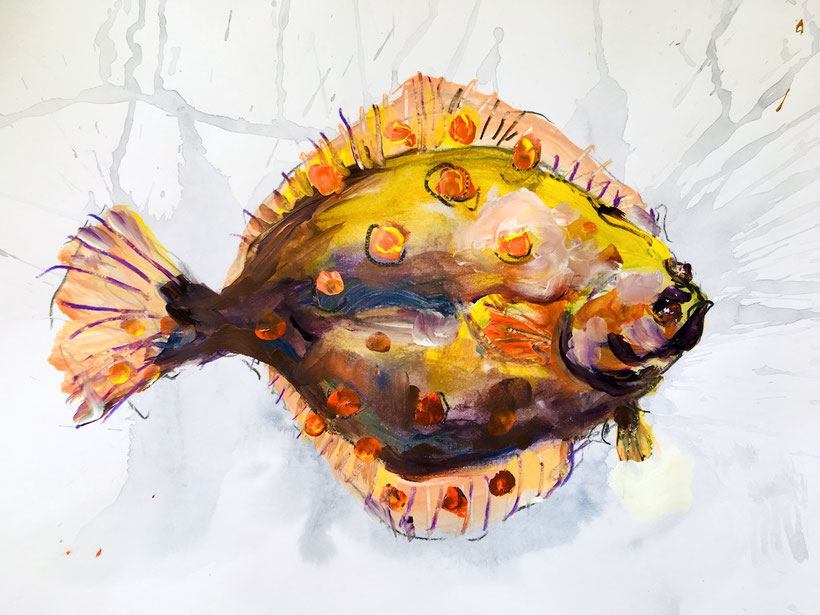 Scholle. Plaice.