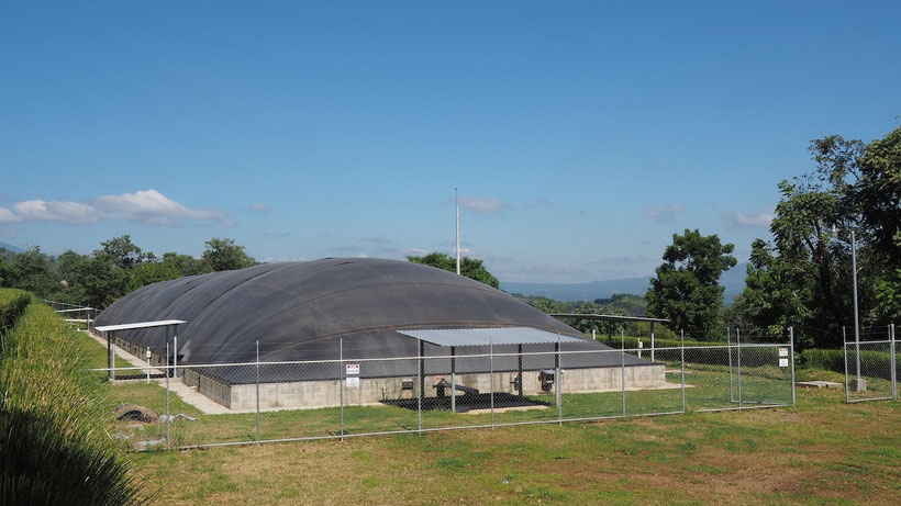 Biodigestor para gallinaza pura - guano
