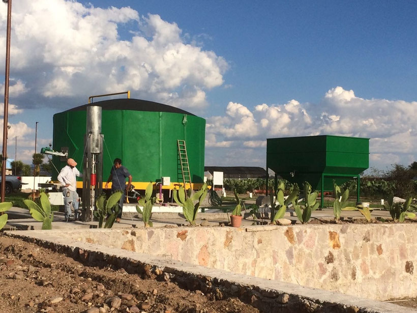 Planta piloto para aprovechamiento de NOPAL para la producción de biogas 