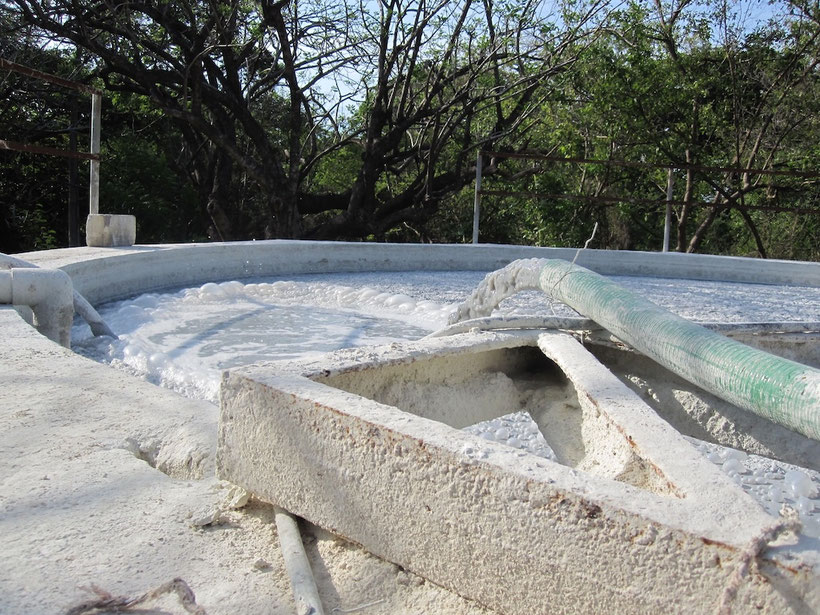 Lodos de planta depuradora de lacteos PTAR - AquaLimpia Engineering - aprovechamiento de lodos en biodigestores 