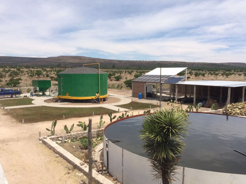 Planta piloto para aprovechamiento de NOPAL para la producción de biogas 