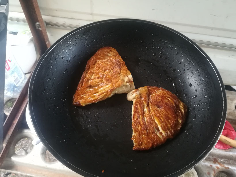 Wenn man keine Reherl oder Steinpilze findet gibt's halt Parasol zum Abendessen 