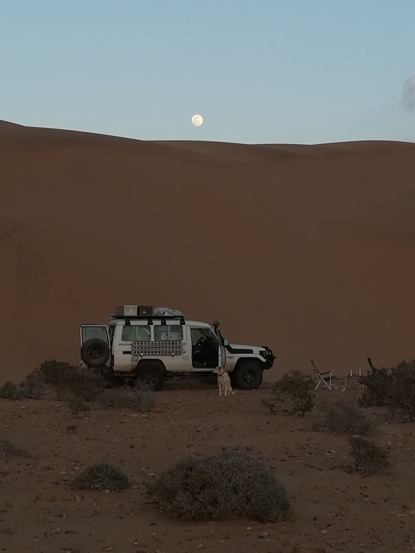 Unser Schlafplatz am Fuß einer goßen Sanddüne bei N28°01.350 W012°10.730 - nicht weit entfernt geht es zum Wasserfall Khaoui Naam