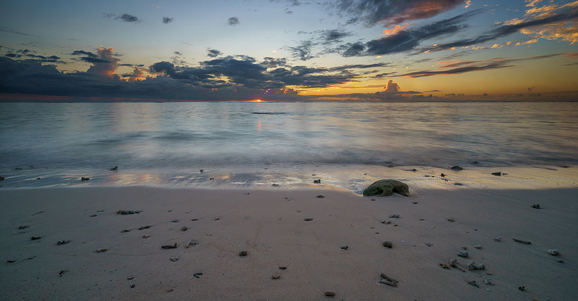 Flic en Flac beach, Mauritius