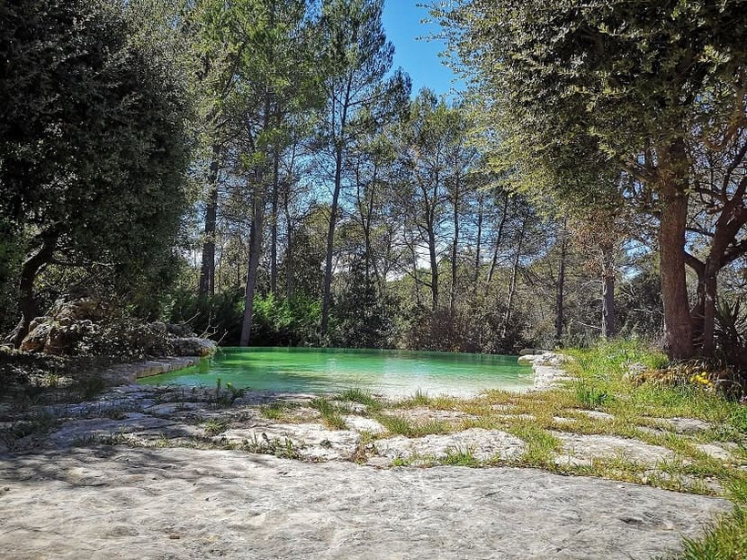 piscine naturelle débordement