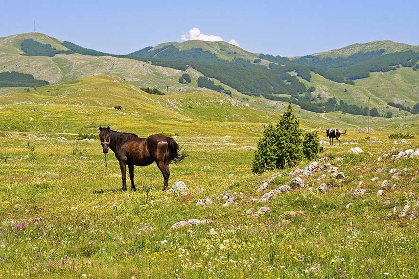 Bosnien Enduro