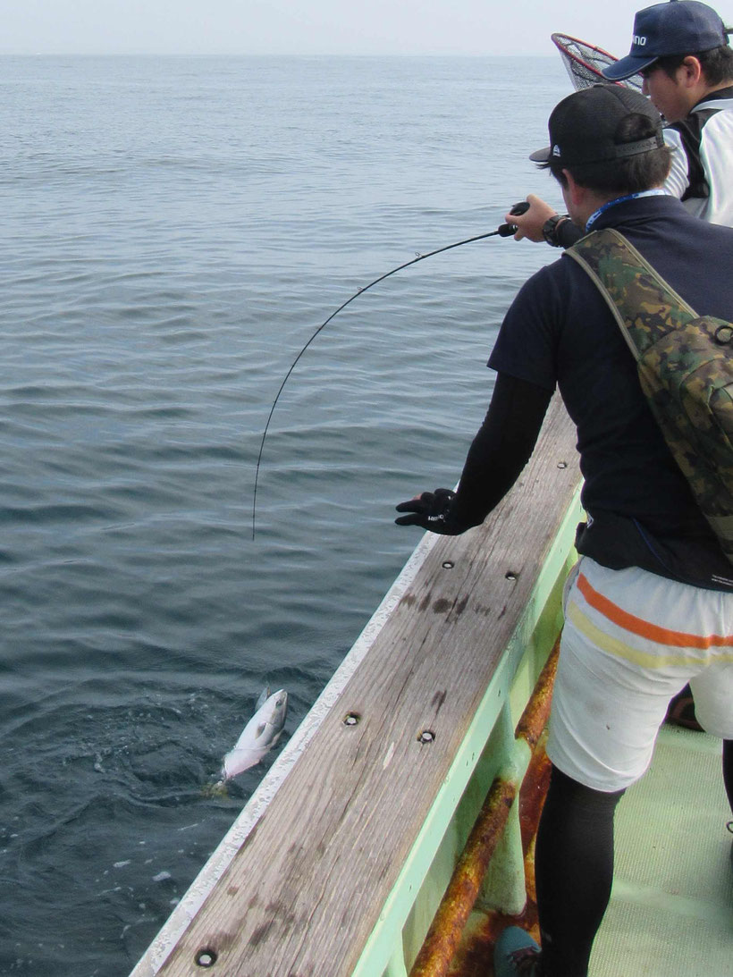 ヒラメを求めて移動するとそこは海流が緩くて迷走気味、狙いは外れてまたしてもイナダでした