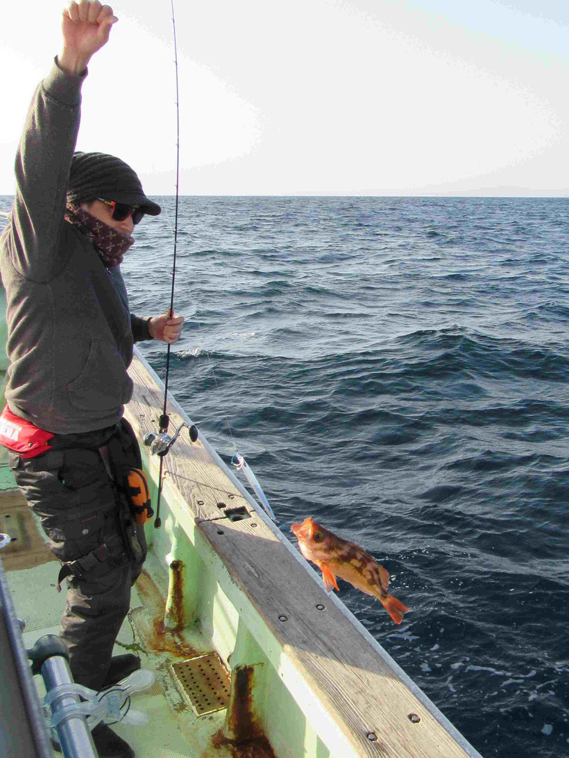 海流は動かなくなりメバルの群れは魚探にそ姿を映すものの反応してくれなくなりました