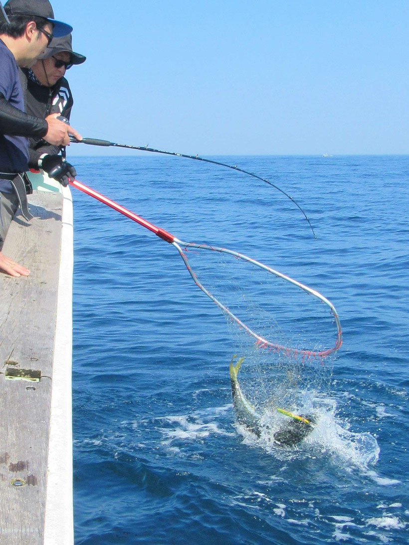 やけにプランクトンが浮遊してきたなと水面を眺めていたらガッツんとそれもダブルでヒット・・・