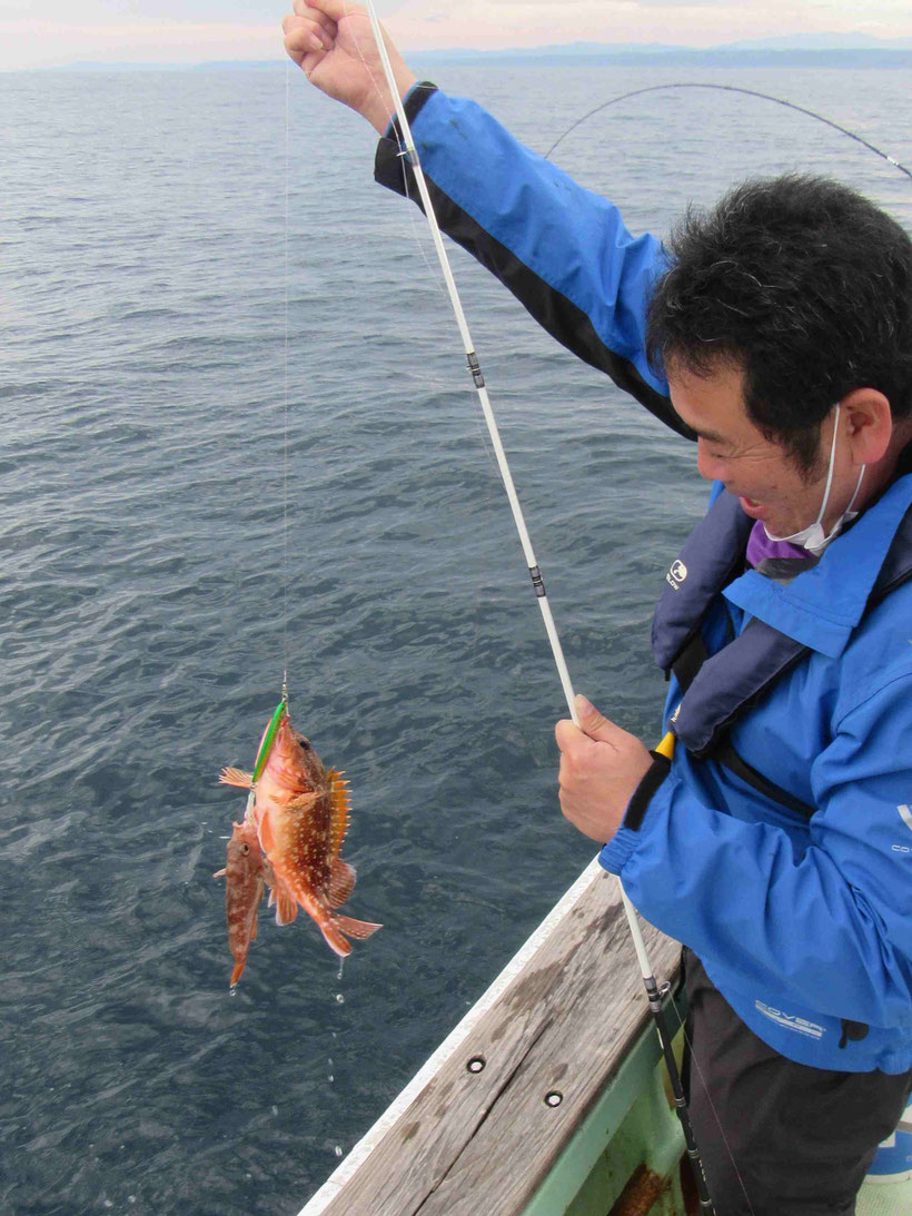 ヒラメは何枚か上がったもののすぐに途絶えてしまい、それから来るのは根魚と小ぶりな青物がときどき・・・