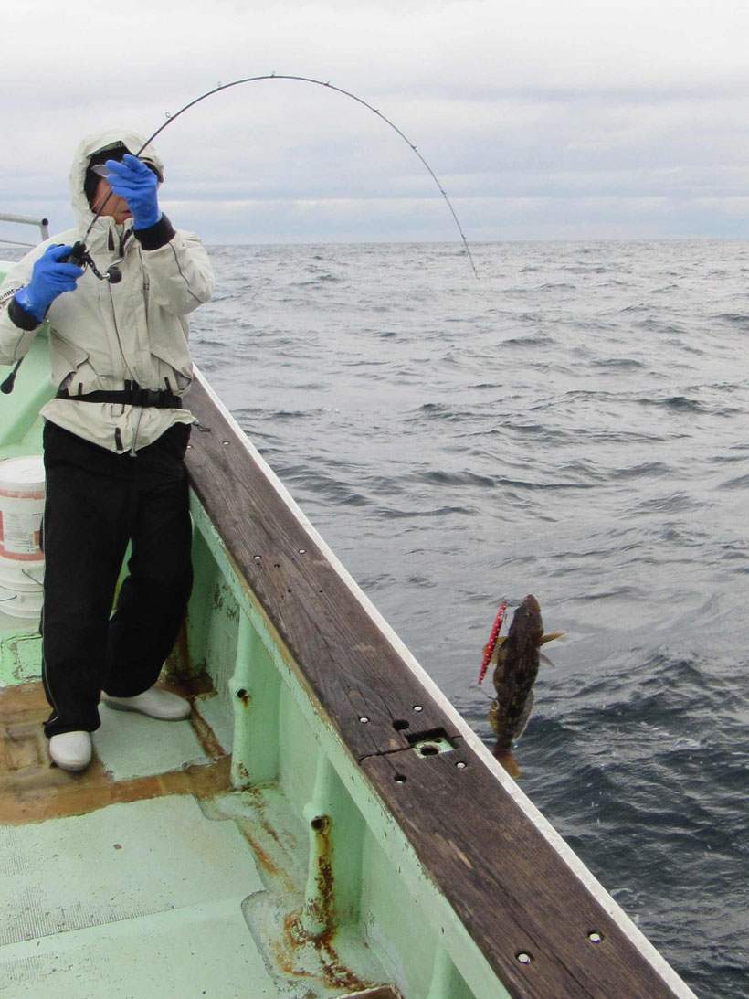 今朝は私も釣りをするつもりでしたが想定外の風浪にドテラ流しは叶わず操船に専念することになりました