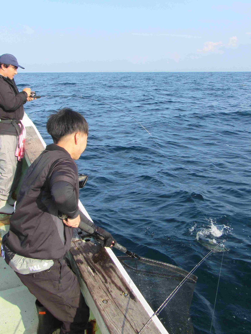 根魚を求めて少し深い方を探してみましたがさっぱり反応してくれませんでした