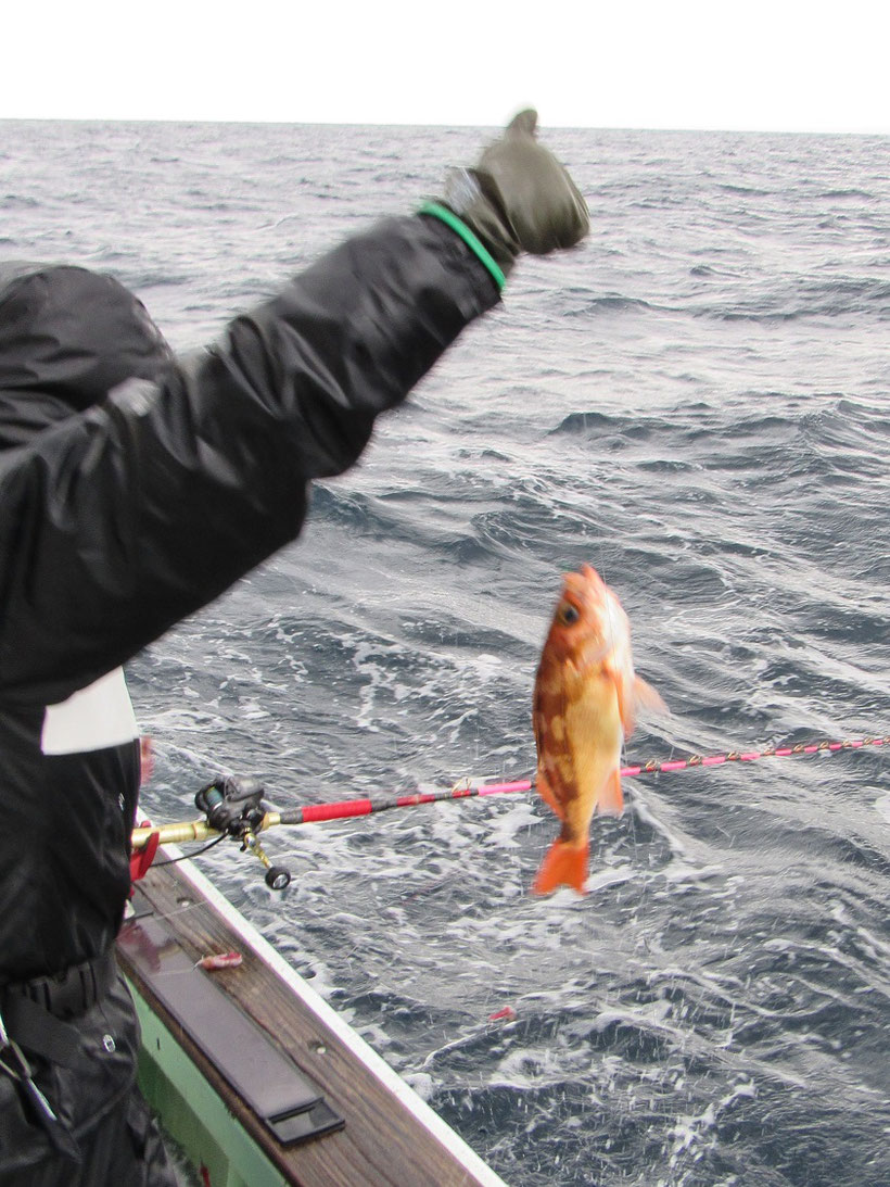 次のポイントでもアタリは無く魚探は一体何を映しているのか訝るばかりでした