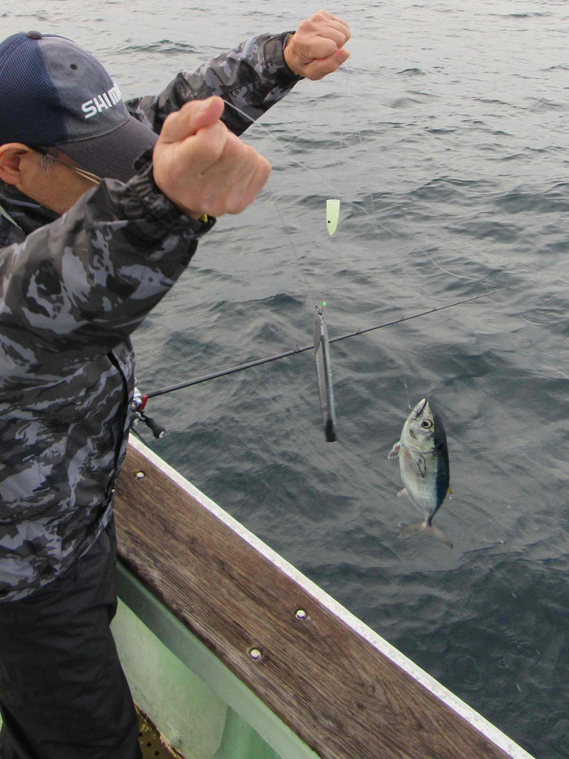 海流は南へほど良く潮は下げに３分の好時合でかなり期待しましたがあまり反応が良くありませんでした