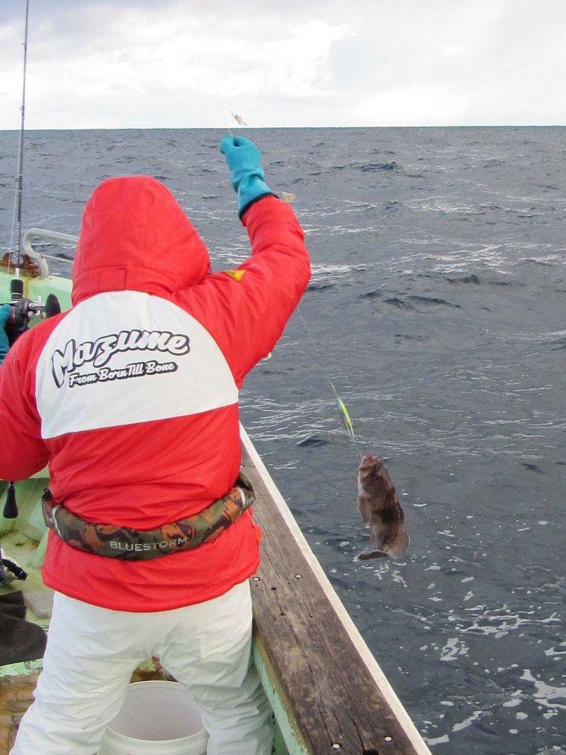 潮は流れず風に船を立ててファーストヒットはガヤ、続いてカガミダイ、マソイがポツリポツリ・・・