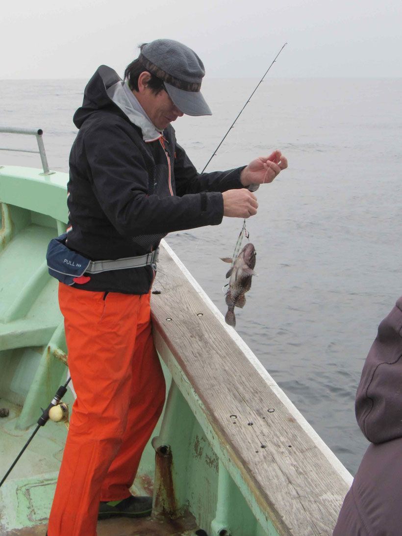 ときにハネが見られるほどベイトも多くて底近くを回遊している群れには根魚も付いているようでした