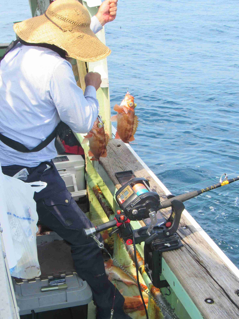 周辺の海面は激しい潮目を波立っていましたが幸いにして釣りにも操船にもその影響は不思議なほどにありませんでした